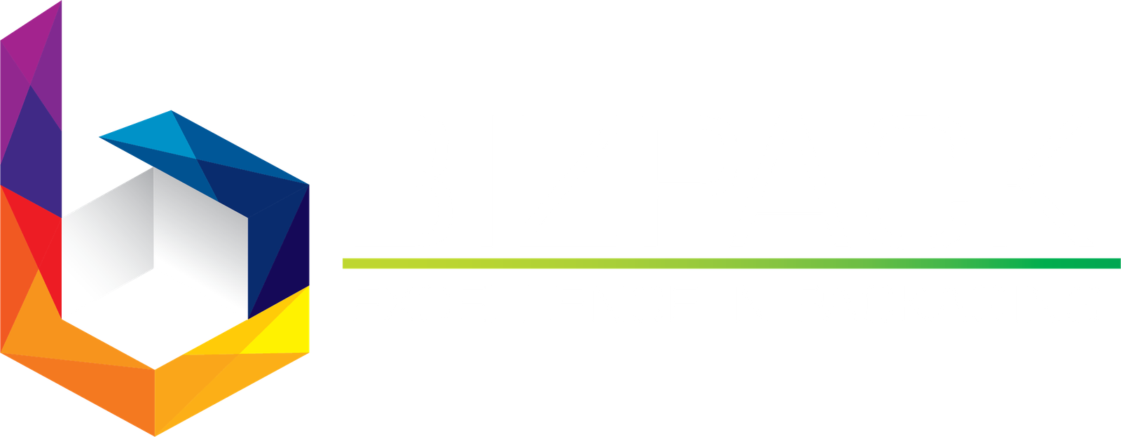 Footer Logo